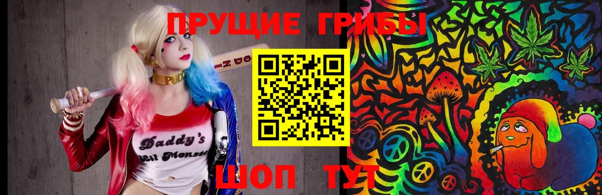 где найти   Псилоцибиновые грибы MAGIC MUSHROOMS  Вход с VPN  Шебекино 